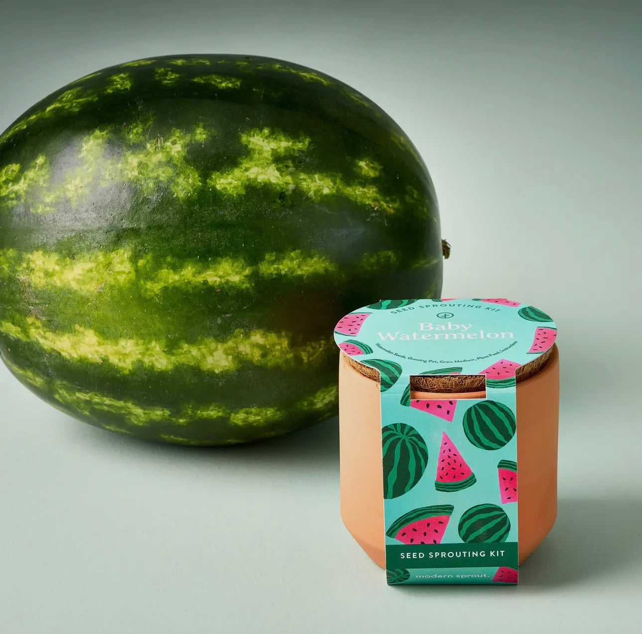 Tiny Terracotta Kit-Watermelon