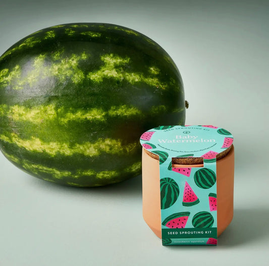 Tiny Terracotta Kit-Watermelon