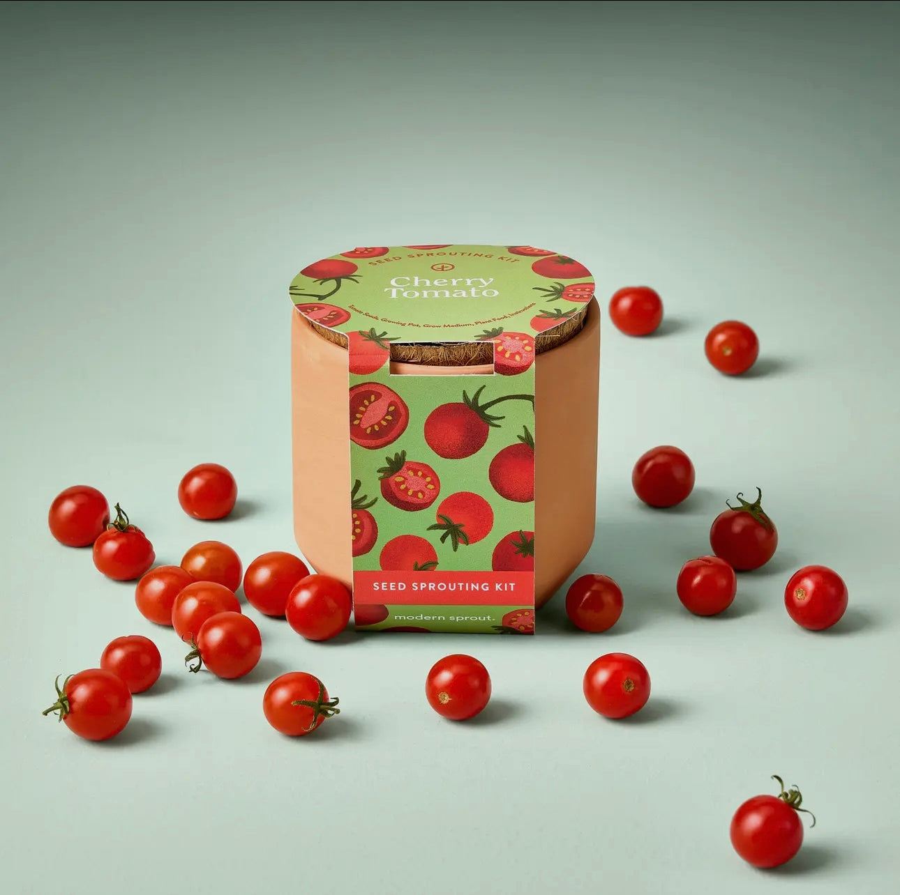 Tiny Terracotta Kit-Cherry Tomato