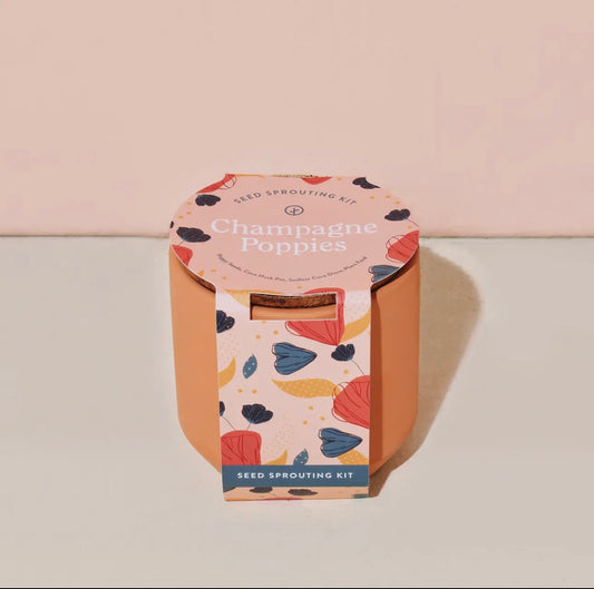 Tiny Terracotta Kit-Champagne Poppies