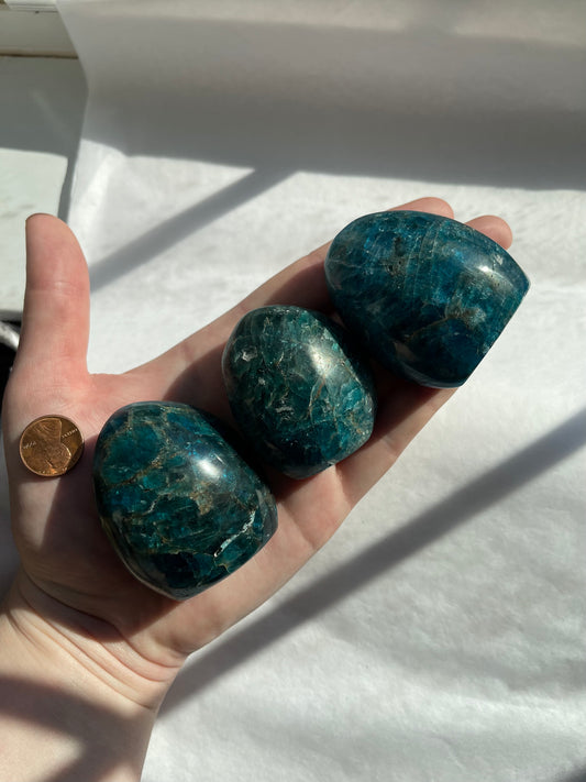 Small Blue Apatite Free Forms - Lillian's Crystal Shop