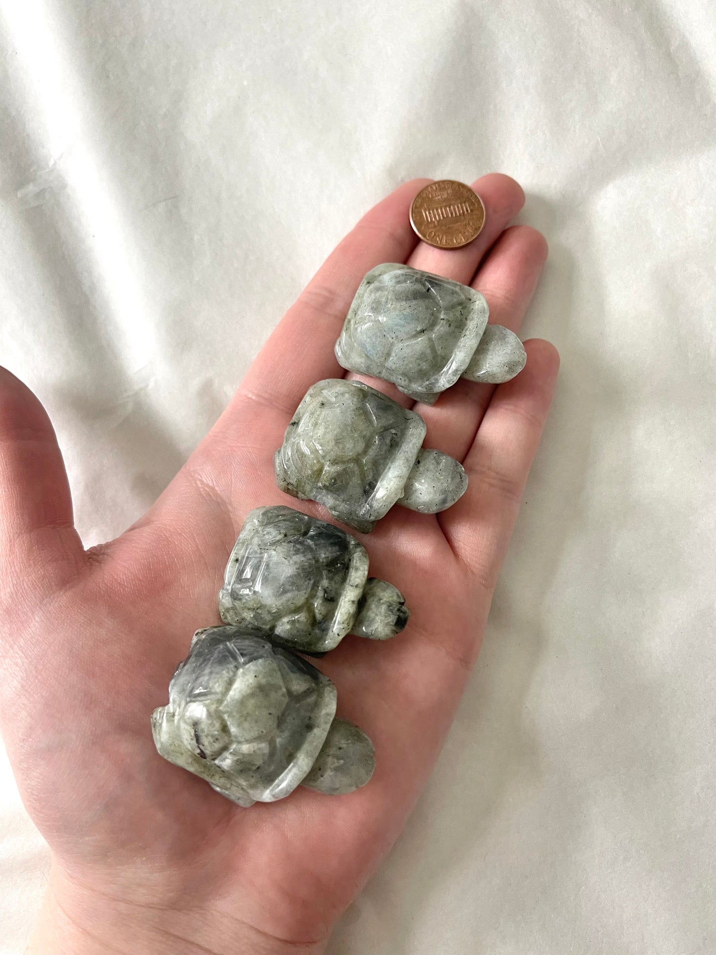 Turtle Carvings - Lillian's Crystal Shop