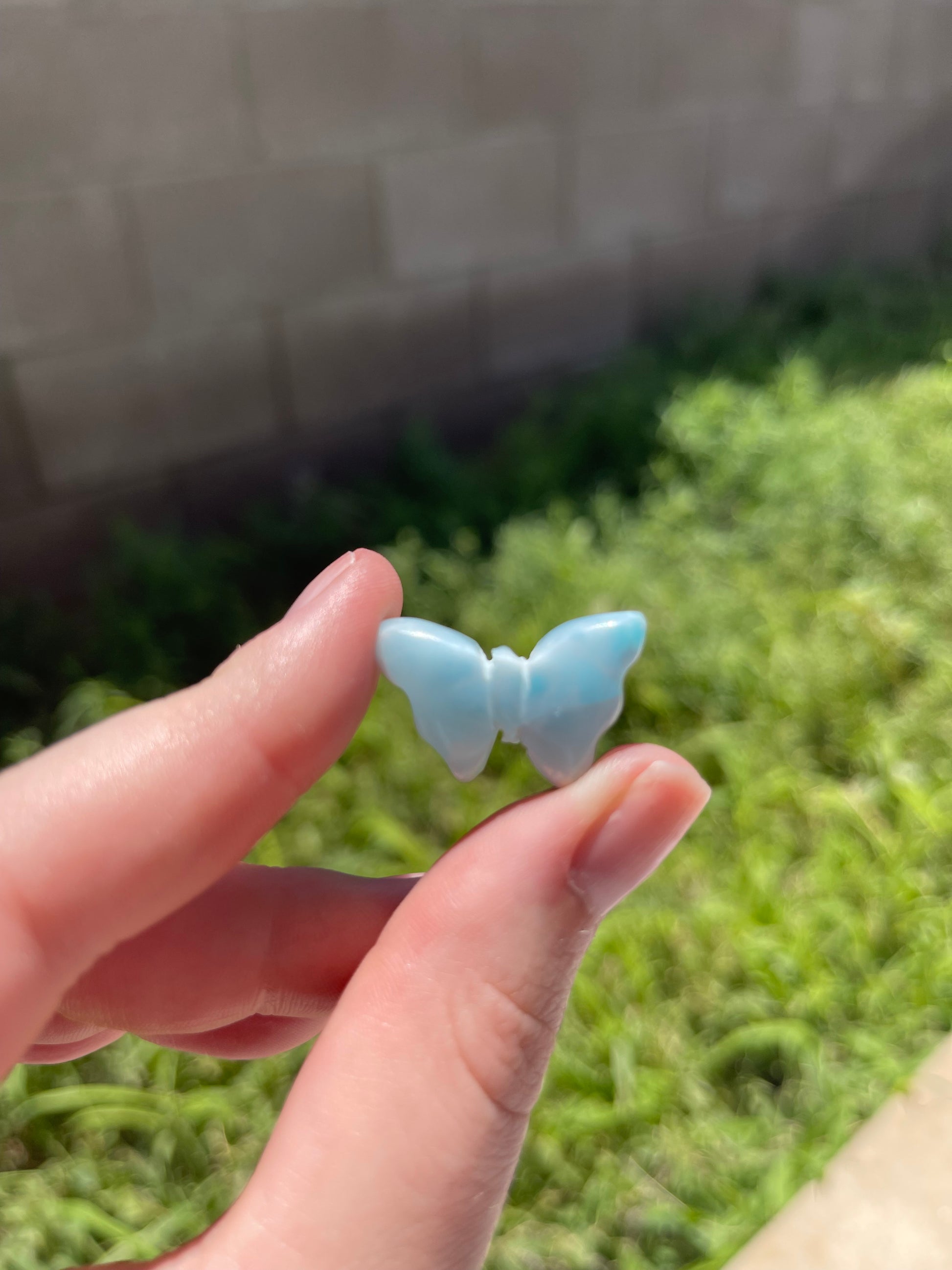 Larimar Heart and Butterfly Carvings - Lillian's Crystal Shop