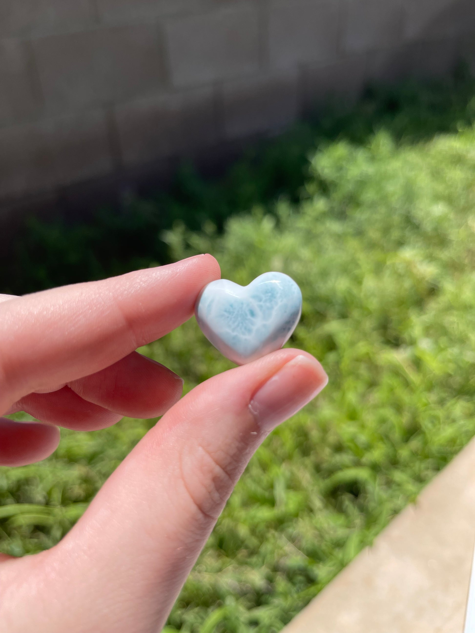 Larimar Heart and Butterfly Carvings - Lillian's Crystal Shop